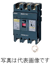 日東工業  GE153NA 3P 120A F100 分散型電源システム用 単3中性線欠相保護付漏電ブレーカ