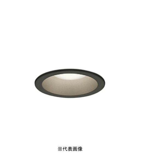 オーデリック OD261798R 軒下用LEDダウンライト防雨型 非調光 白熱灯器具60W相当 電球色 ブラック