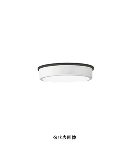 オーデリック OG254515R 軒下用シーリングライト 防雨型 白熱灯100W相当 昼白色 オフホワイト