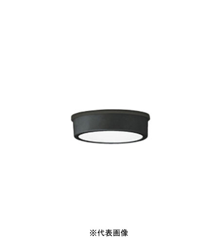 オーデリック OG254529R 軒下用シーリングライト 防雨型 白熱灯60W相当 昼白色 ブラック