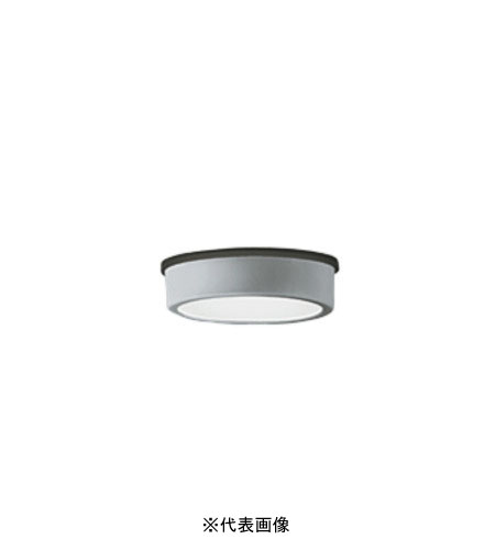 オーデリック OG254531R 軒下用シーリングライト 防雨型 白熱灯60W相当 昼白色 マットシルバー
