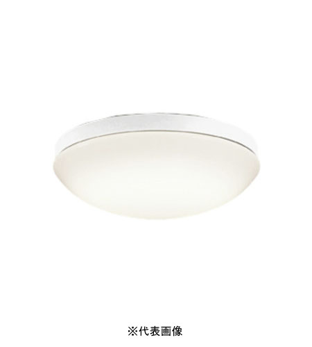 オーデリック OW269013LR 屋外用LED共用灯 防雨・防湿型  R15クラス2 FCL30W相当 電球色