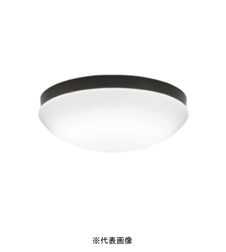 オーデリック OW269014NR 屋外用LED共用灯 防雨・防湿型  R15クラス2 FCL30W相当 昼白色