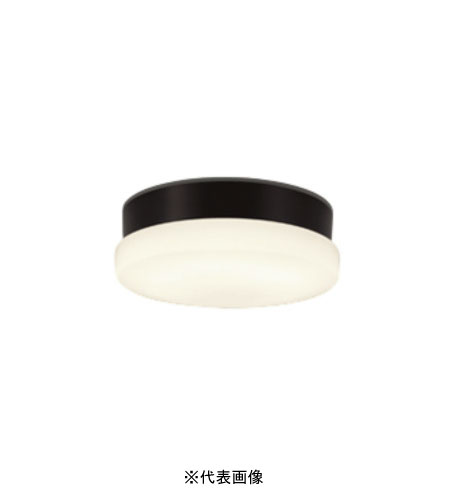 オーデリック OW269042LR 屋外用LED共用灯 防雨・防湿型  R15クラス2 FCL20W相当 電球色