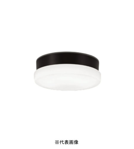 オーデリック OW269042NR 屋外用LED共用灯 防雨・防湿型  R15クラス2 FCL20W相当 昼白色