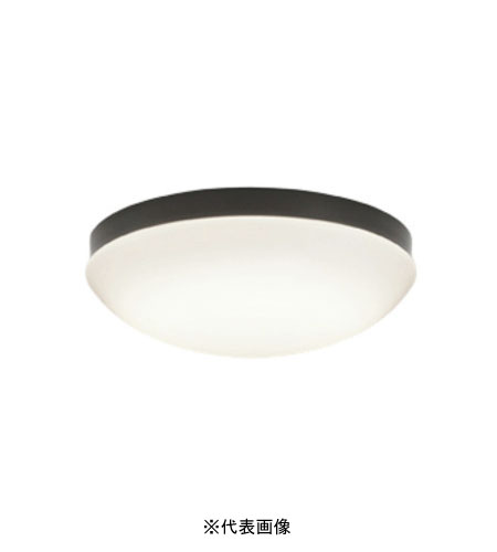 オーデリック OW269050LR 屋外用LED共用灯 防雨・防湿型  R15クラス2 FCL20W相当 電球色